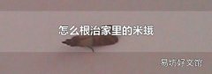 怎么根治家里的米蛾