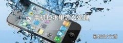 手机掉水里怎么处理