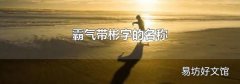 霸气带彬字的名称