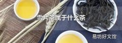 雪片茶属于什么茶