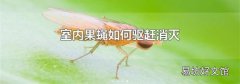 室內(nèi)果蠅如何驅(qū)趕消滅