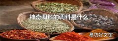 神奇调料的调料是什么