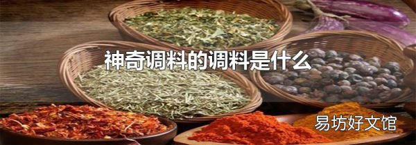 神奇调料的调料是什么