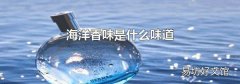 海洋香味是什么味道