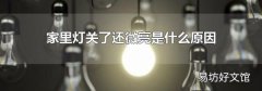 家里灯关了还微亮是什么原因