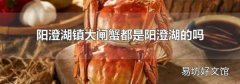 阳澄湖镇大闸蟹都是阳澄湖的吗