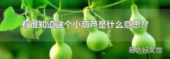 有谁知道这个小葫芦是什么意思??