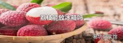 荔枝能放冰箱吗