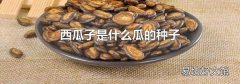 西瓜子是什么瓜的種子