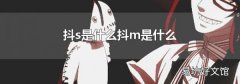 抖s是什么抖m是什么