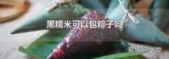 黑糯米可以包粽子吗