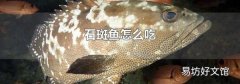 石斑魚怎么吃
