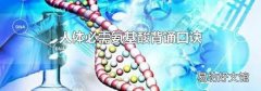 人體必需氨基酸背誦口訣