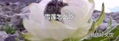 雪莲怎么吃
