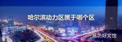 哈尔滨动力区属于哪个区