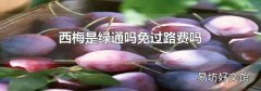 西梅是绿通吗免过路费吗