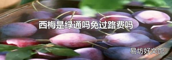 西梅是绿通吗免过路费吗