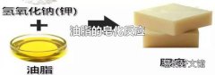油脂的皂化反应
