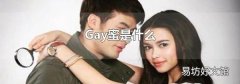 Gay蜜是什么