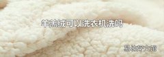 羊羔绒可以洗衣机洗吗