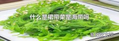 什么是裙带菜是海带吗