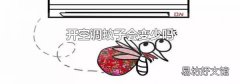 开空调蚊子会变少吗