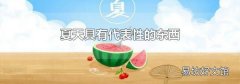 夏天具有代表性的东西