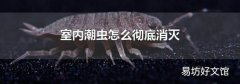 室内潮虫怎么彻底消灭