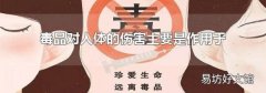 毒品对人体的伤害主要是作用于