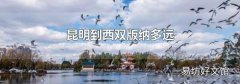 昆明到西双版纳多远