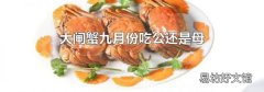 大闸蟹九月份吃公还是母