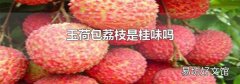 玉荷包荔枝是桂味吗