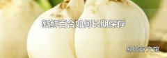 新鮮百合如何長期保存