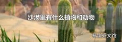 沙漠里有什么植物和动物