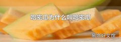 哈密瓜为什么叫哈密瓜