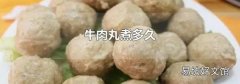 牛肉丸煮多久