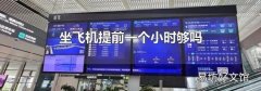 坐飞机提前一个小时够吗