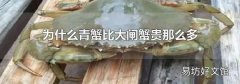 为什么青蟹比大闸蟹贵那么多