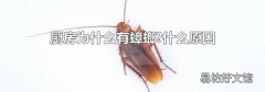 厨房为什么有蟑螂?什么原因