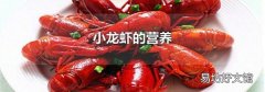 小龍蝦的營(yíng)養(yǎng)