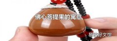 佛心菩提果的寓意