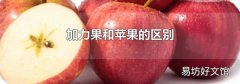 加力果和蘋果的區(qū)別