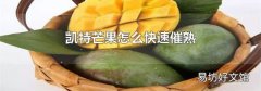 凯特芒果怎么快速催熟