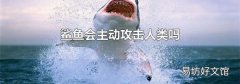 鲨鱼会主动攻击人类吗