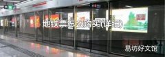 详细 地铁票怎么购买