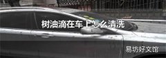 树油滴在车上怎么清洗