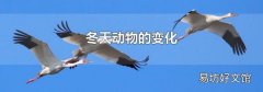 冬天动物的变化