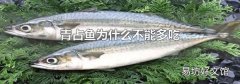 青占鱼为什么不能多吃