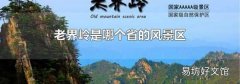 老界岭是哪个省的风景区