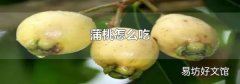 蒲桃怎么吃